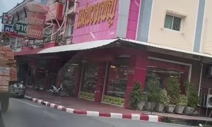 Dog Stands on Scooter with Wide Load