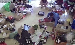 Rambunctious Cat Lunges at Laptop