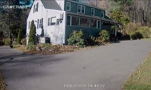 Wind Sends Tree Falling into House