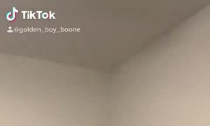 Golden Retriever consoles owner when she pretends to cry