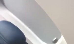 Couple Make a Friend on Honeymoon Flight