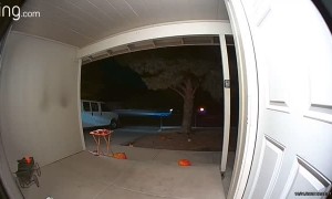 Trick or Treater Steals Bowl of Candy