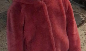 Little Girl Really Needs an Uber