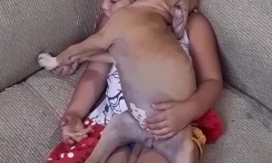 Doggo and Kiddo Grab a Nap