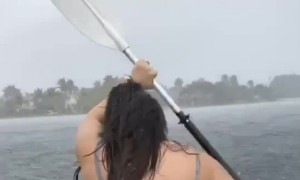 Surprised by Stowaway