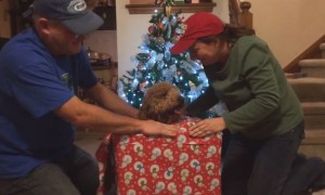 Wrapping Presents Fails