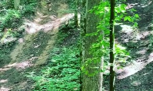 Razor Rolls Down Hill End Over End