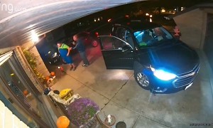 Dog Destroys Glass Door