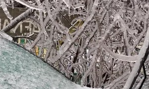 Freezing Rain Covers Environment in Ice