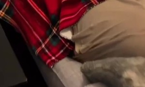 Naughty Nap Bamboozle