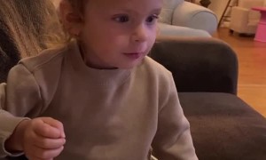 Sweet Kid Has Video Call With Santa