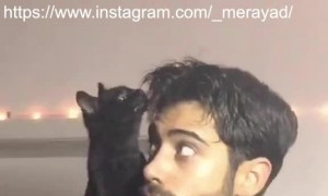 Cat Helps Guy Get Ready for Date