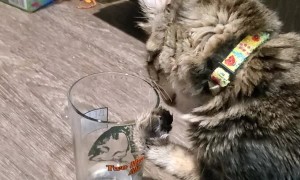 Booger Takes a Drink