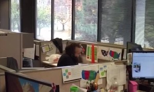 Co-Worker Cops Endless Barrage of Nerf Bullets