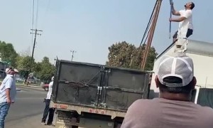 Rescuing a Cat from Cable Lines