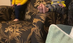 Boy Slides off Side of Chair