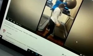 Pitbull Wakes Up to Sing His Favorite Song