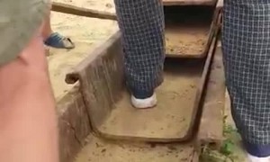 Rescuing a Trapped Puppy from under a Heavy Bar