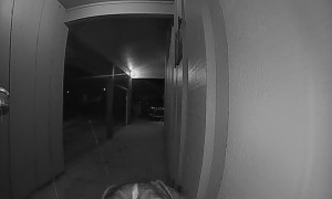 Dog Rings Doorbell to be Let Inside