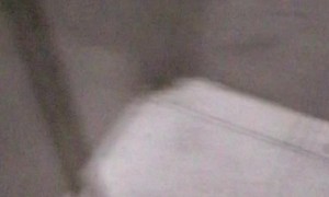 Toilet Swimming Rat Surprise