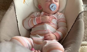 Sleeping Girl Wakes for Cookies