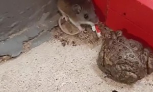 Unlikely Friends Meet Outside Autozone