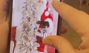 Confusion Over Christmas Ornament