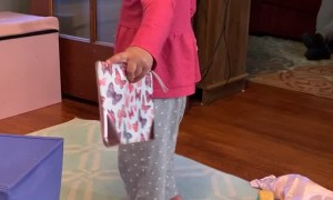 When Girl's Princess Heels Meets Hardwood Floor