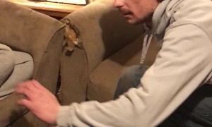 Protective Pup Guards Mom