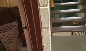 Man Breaks into Second Story Apartment While Making a TikTok Video