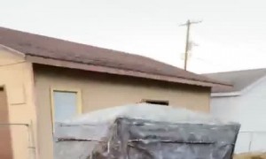 See Through Hunting Blind Makes a Perfect Hiding Spot