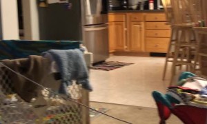 Dad Operates Swing From the Comfort of the Couch
