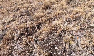 Man Stumbles Upon Airplane Crash Site While Hiking