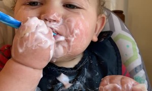 Happy Baby Makes a Mess Eating Yogurt