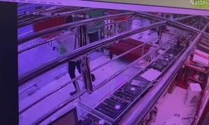 Robber Shoots Through Glass Door to Escape Store