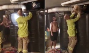 Firefighters rescue dog stuck between water tank and a wall