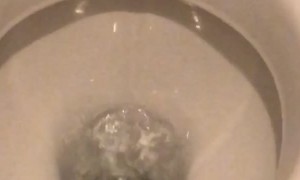 Water Bubbles Warble in Troubled Toilet Bowl