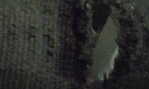 Dog Stayed in the Car While we Took the Ferry