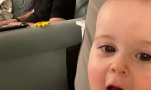 Refreshing Water Really Hits the Spot