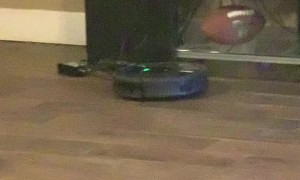 Smart Dog Turns off Roomba