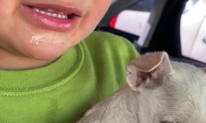 Boy Cries over Puppy's Vaccination