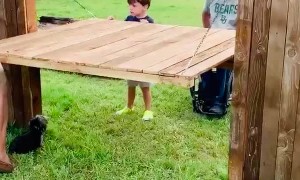 The Fence Table Made for Conversation