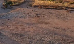 Train Misses Car by Inches at Level Crossing