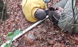 Saving Pups Country Style