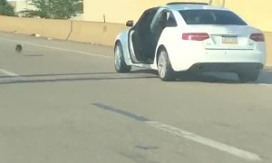 Dog Escapes Car on the Interstate