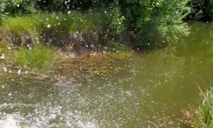 Falling into the River