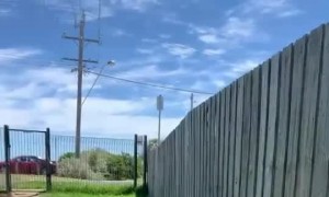 Puppy Friendly Fence