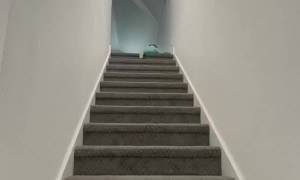 Silvia Sanchez (@silviasanchez256) en TikTok  - Silvia Sanchez (@silviasanchez256) ha creado un video corto en TikTok con la música original sound.