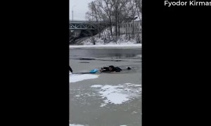 Rescuing a Dog from Cold Waters