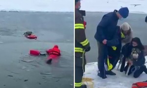 Firefighters rescue dog from frozen New York pond